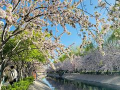 -元大都城垣遗址公园