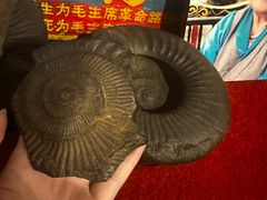 -吉祥圣雪藏餐
