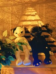 -疯狂冒险家-亲子密室-东坝店(金隅嘉品店)