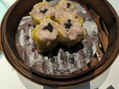 -新兴·金羊座·粤菜点心(乐峰店)