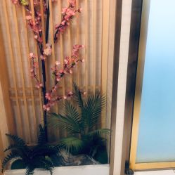 -芳朵美容养生SPA