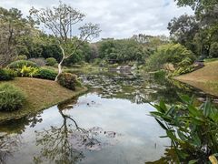 -云溪植物园