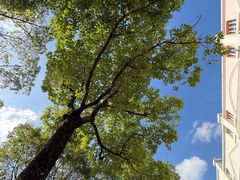 -CafeDuVillage乡村咖啡馆(美邻苑店)