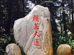-武汉大学-樱园