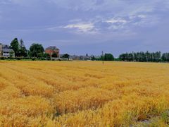 -乌龙涧铁道铁轨景