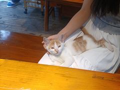 -厚山庭院重庆老火锅