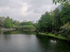 -晓港公园
