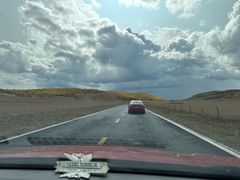 -乌兰布统景区-白桦林