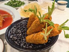 -丁老爷子苏香圆