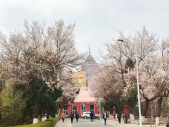 -吉林大学(南岭校区)