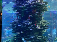 -泉城欧乐堡海洋极地世界