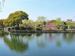 -无锡蠡湖国家湿地公园-蠡园