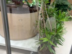 -卡朋西餐(悦汇城店)