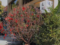 -邊渡咖啡