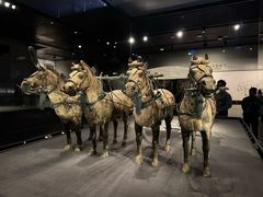 -秦始皇帝陵博物院-丽山园