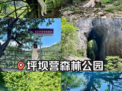-恩施坪坝营国家森林公园景区