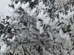 -梅州天地人花园酒店(梅县人民广场店)