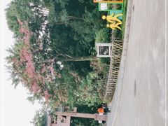 -水濂山森林公园