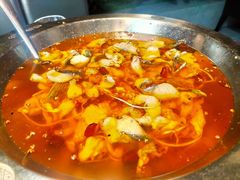 沸腾水煮鱼-新沸腾鱼乡(世贸天阶店)