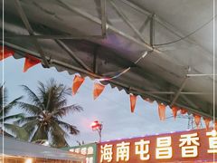 露天位-盐禾堂海南屯昌香草鸭(总店)