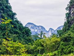 -明仕田园