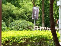 -火炉山森林公园