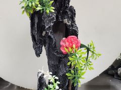 -屋里厢上海菜馆