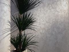 -龙湖西安曲江天街