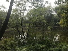 -西湖风景区-江洋畈生态公园