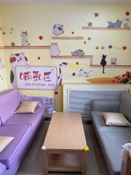 -大连新百佳妇儿医院