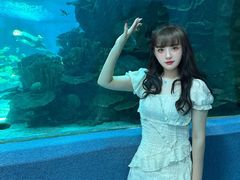 -合肥海洋世界