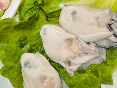 -金砂阿洲鱼册店