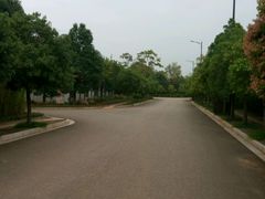 android_upload_pic-五甲塘生态湿地公园