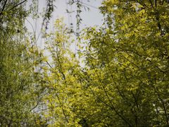 -大连植物园