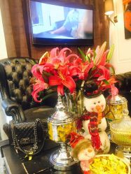 -SALON TV x ILCOLPO