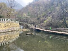 -西安祥峪森林公园