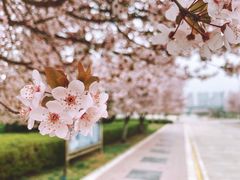 -长安大学(北校区)