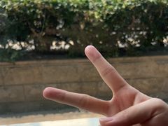 -野草莓自由市场