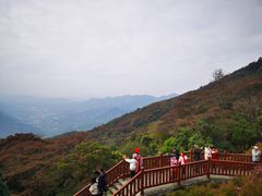 -广州市石门国家森林公园