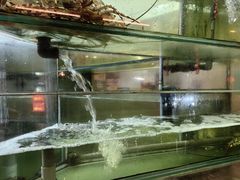 -大茄来海鲜餐厅(亚洲城分行)