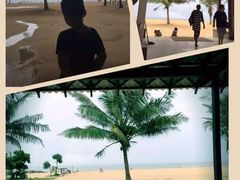 -尼甘布海滩