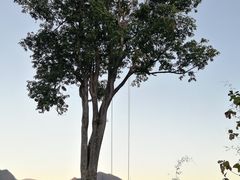 -倒立小屋