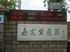 -嘉定紫藤园