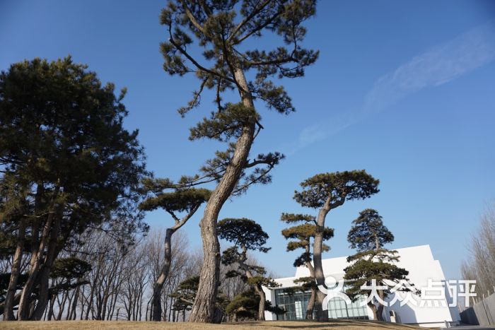 松美术馆图片 - 第13张