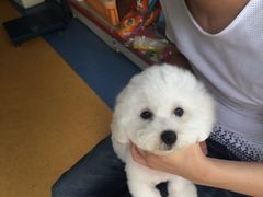 -喵宠乐园·撸猫互动·猫舍