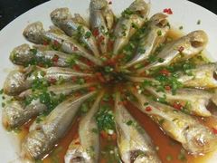 -前小桔亲子创意农场·草莓采摘·露营烧烤