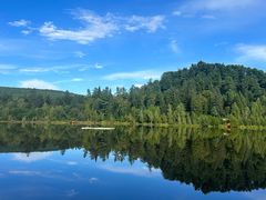 -五营红松林海景区