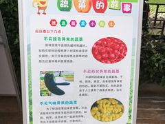 -上海都市菜园