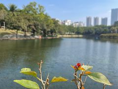 -深圳龙潭公园