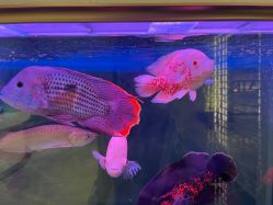 -铂诗玥医美